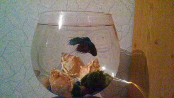 �� ���� � ����� �� ������!