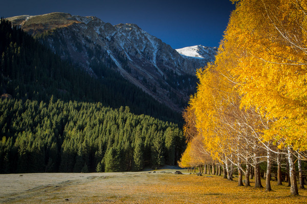 Gold autumn - Nature, Landscape, beauty of nature, Forest, The mountains, The photo, Autumn, Travels