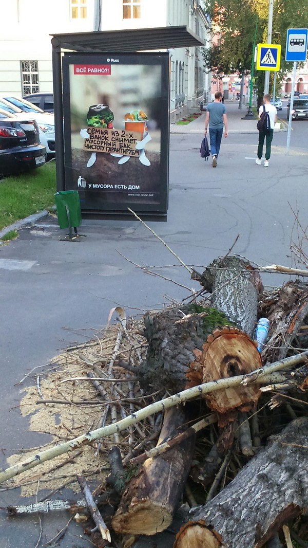 � ������ ���� ���.