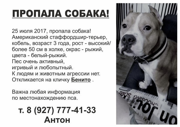 Потерялся друг.Самара