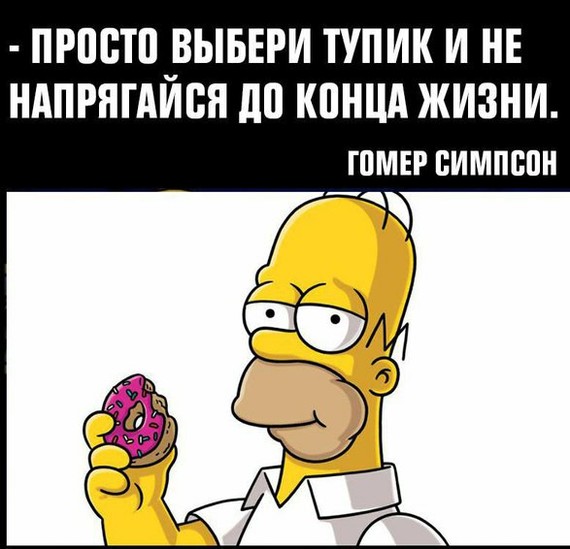 Philosophy of Homer D'oh - The Simpsons, Philosophy, Homer Simpson, Longpost