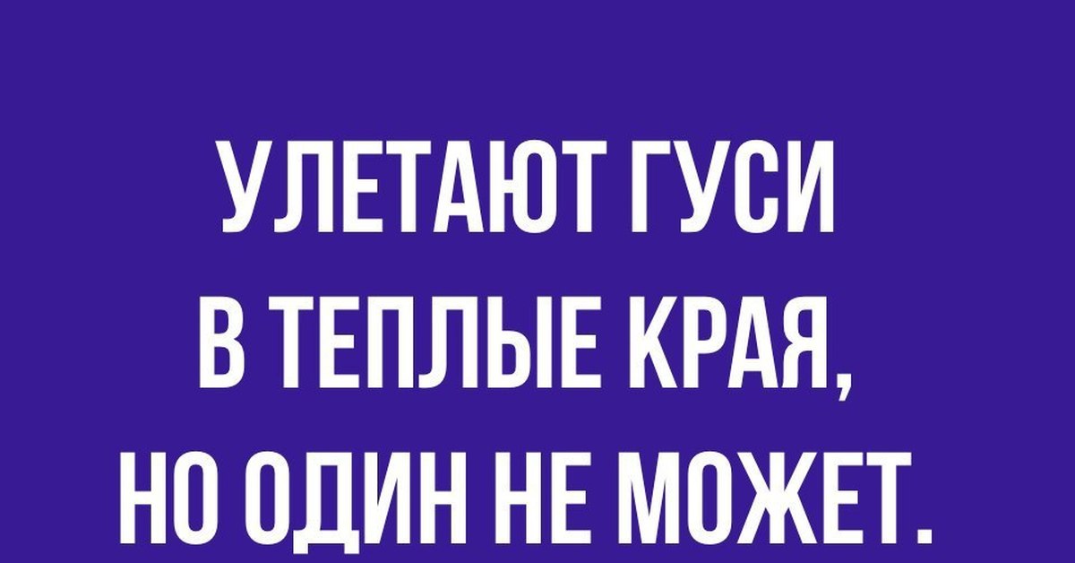 Улетели в теплые. Улетают утки в теплые края. Стишок улетают утки в теплые края. Стихотворение улетают утки в теплые края. Улетают утки в теплые.