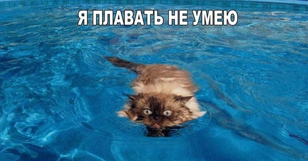 Проект по английскому я не умею плавать. Значок умею плавать 50. Картинка я умею плавать. Я тону и не умею плавать. Я тону и не умею плавать.