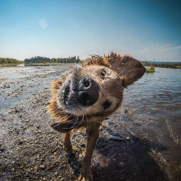 Удачный кадр.