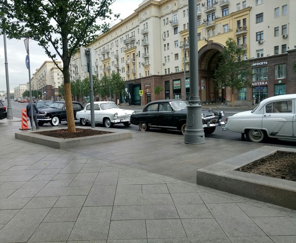 Утром в центр Москвы слетелись чайки)))