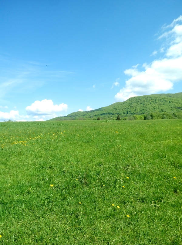 Nice... - My, The mountains, Nature