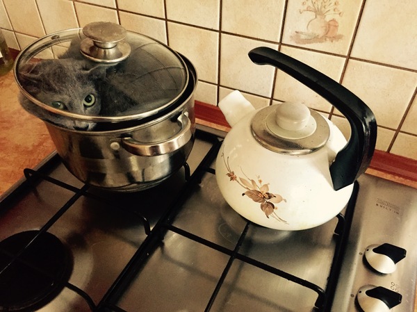 ��� � �����