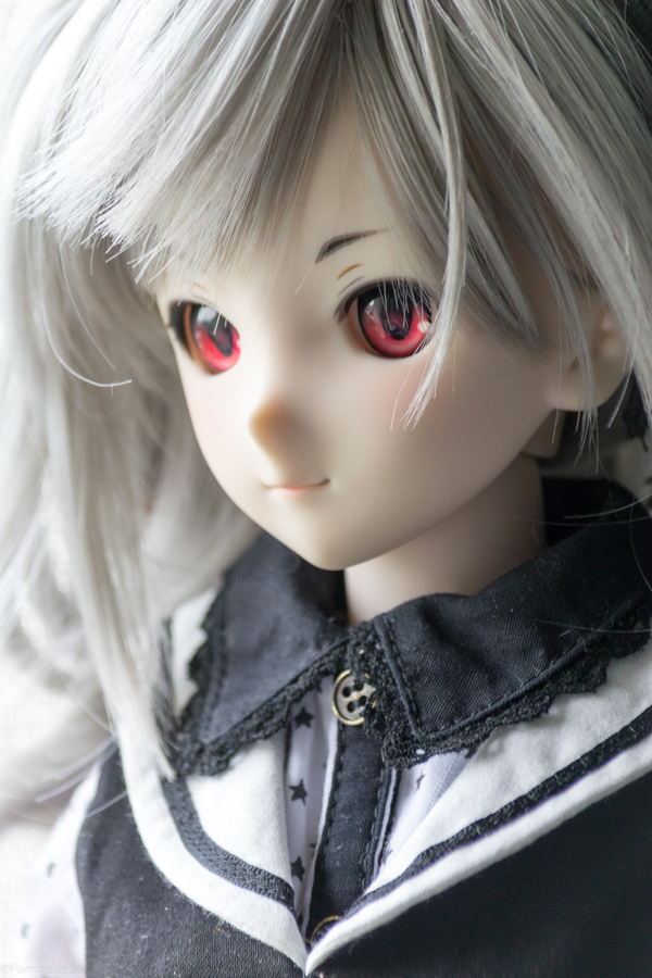 DollfieDream  300   Dollfiedream, , , , , Kanzaki Ranko, 