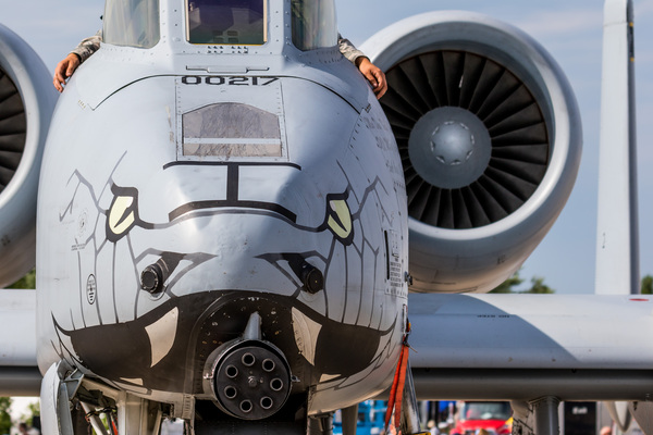 Hissssss... hissssssss... - Моё, a-10, Thunderbolt II, Gau-8, Самолет, Snek