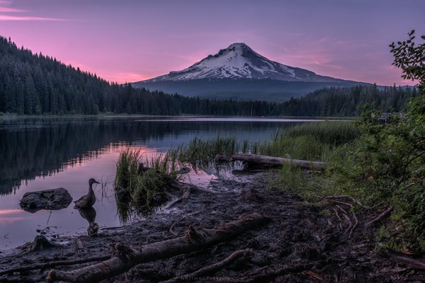 Mount Hood, Oregon, USA - , Hood, Volcano, Sunrise