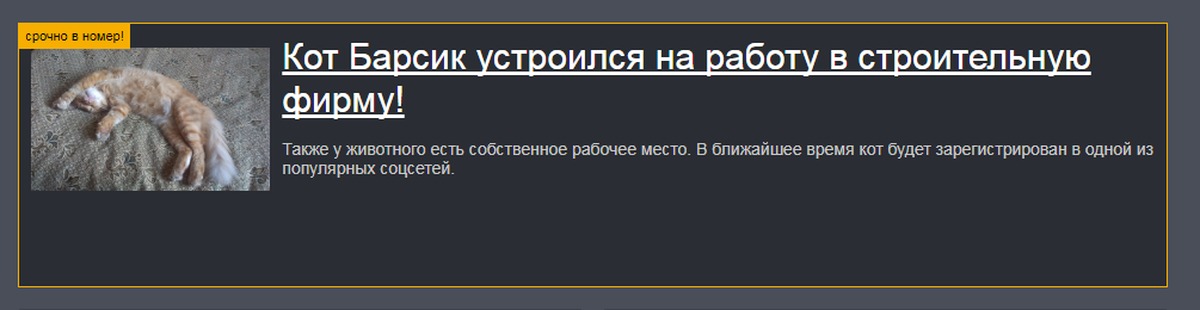 Научи барсика охотиться. Барсик лабораторные работы. Барсик программа.