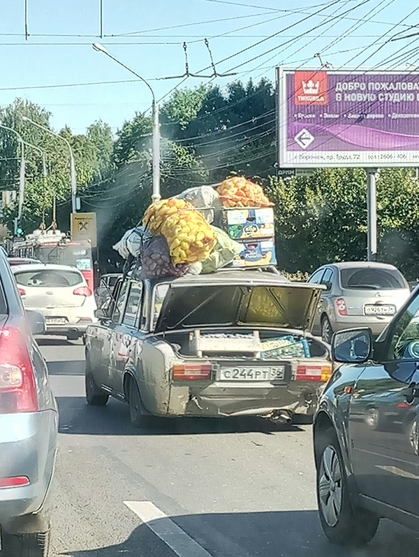 Я пёльный - Воронеж, Моё, Длиннопост, Перевозка