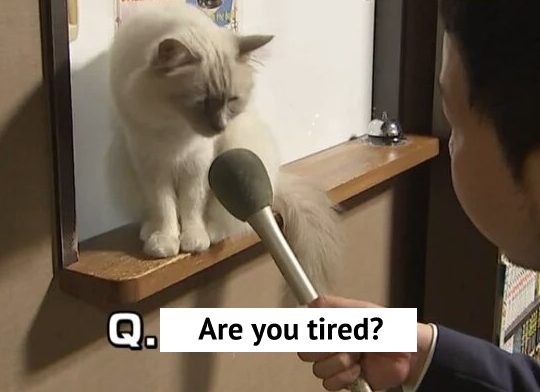 You're tired? - Fatigue, Start, , weeks, cat, Hard