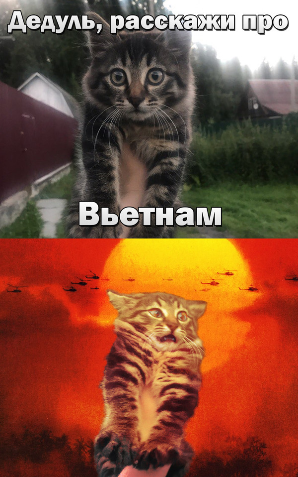 Что такое вьетнамские флешбеки. Смотреть фото Что такое вьетнамские флешбеки. Смотреть картинку Что такое вьетнамские флешбеки. Картинка про Что такое вьетнамские флешбеки. Фото Что такое вьетнамские флешбеки