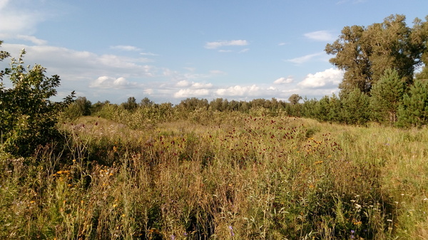 Уж небо осенью дышало