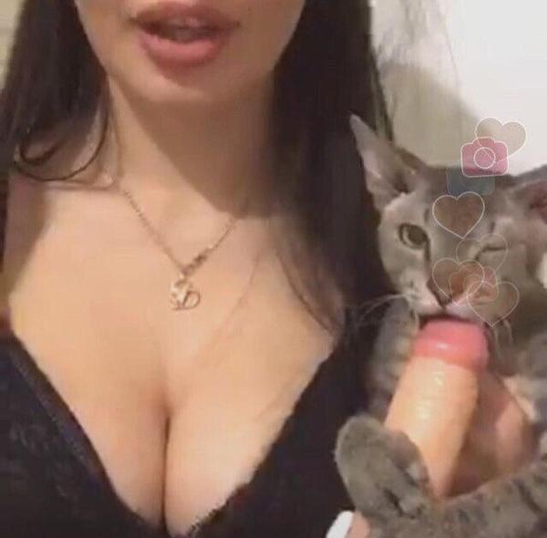 Pussy at risk - NSFW, Degradation, , cat, Social networks, Boobs