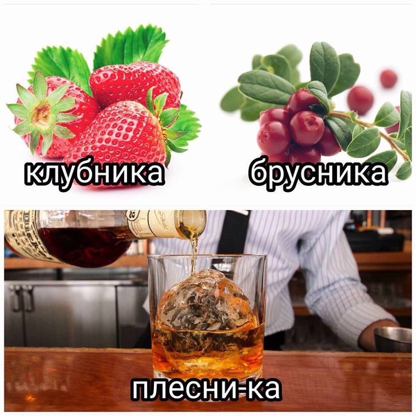 Плесника