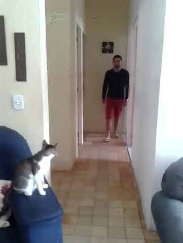 Дай пять, бро!