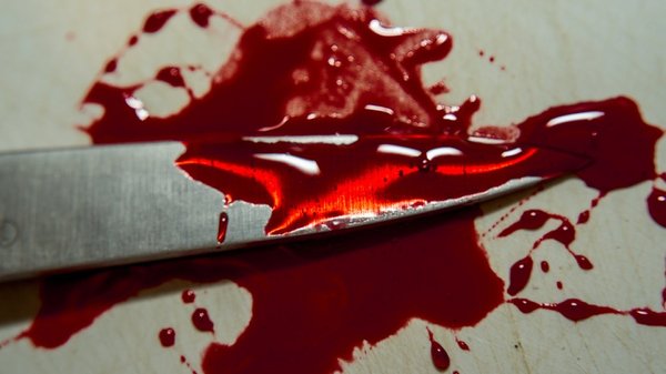 A pensioner from the Vladimir region stabbed her paratrooper son to death on Airborne Forces Day - Russia, Society, Incident, Retirees, Paratroopers, Day of the Airborne Forces, RF Criminal Code, , Criminal Code, Ria FAN