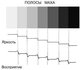 WHY DO INSECTS FLY INTO THE LIGHT? - Light, Interesting, , Informative, Longpost