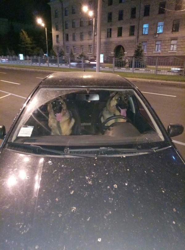 Номера наверное тоже немецкие)