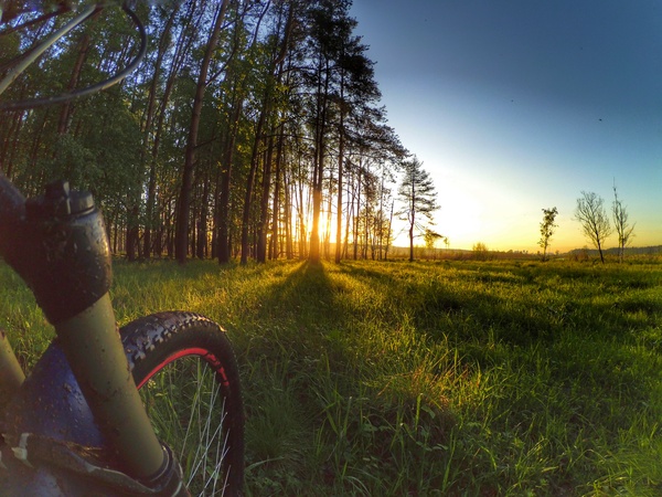 Moose Island. May 21, 2016 - My, A bike, Elk Island, Bike trip, Battle of sunsets, Tourism, Cyclist, Nature, Landscape, Elk Island