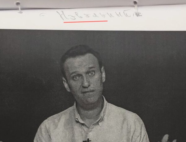 Photos of Navalny in the case file in court are signed NEVELNY - Documentation, Alexey Navalny