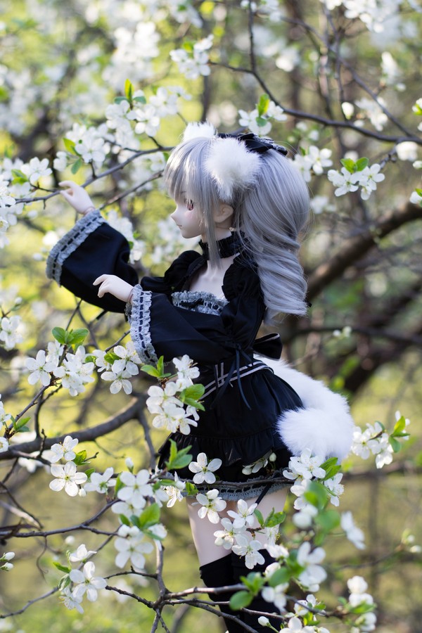 DollfieDream -   Dollfiedream, , , , , Saber Alter, Hatsune Miku, Kanzaki Ranko, 