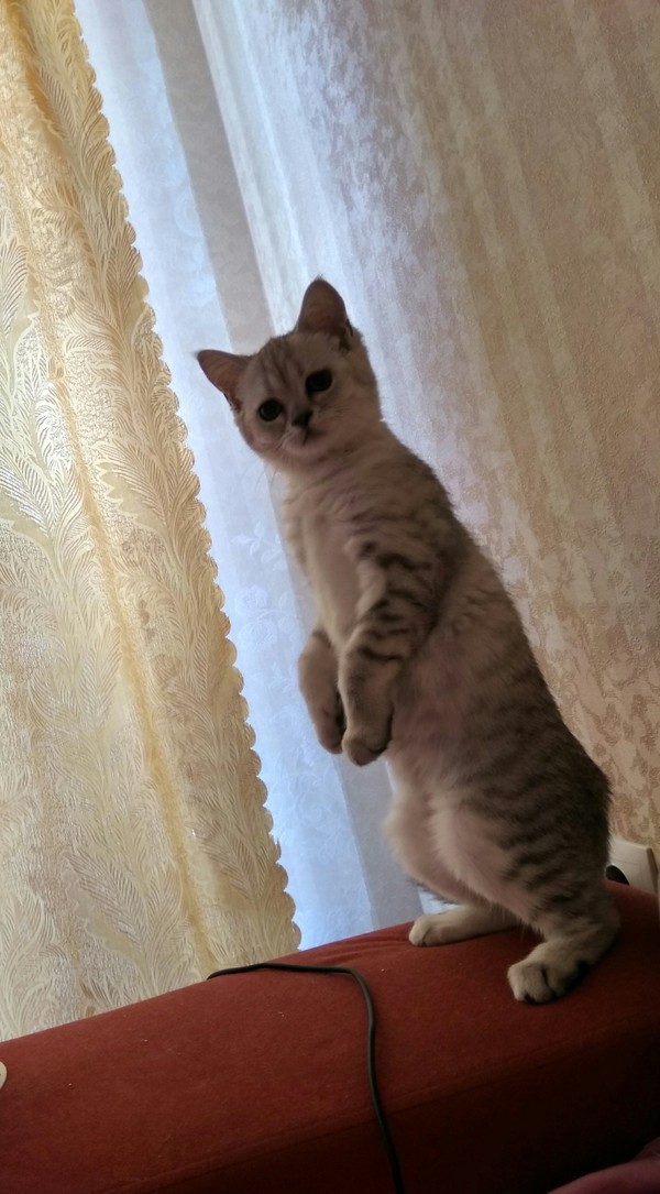 ��������)))