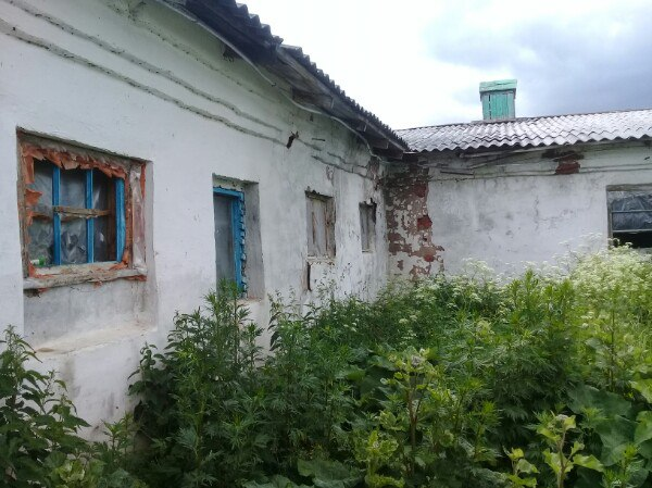 Keeping animals in a barn, Novgorod region, Batetsky district. - My, Cattle, Barnyard, Cow, Sovkhoz, Novgorod region, Longpost