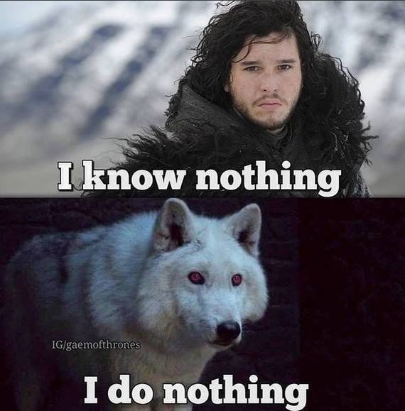 Two sides of the same coin - Game of Thrones, Game of Thrones Season 7, Spoiler, Jon Snow, Призрак, You Know Nothing Jon Snow