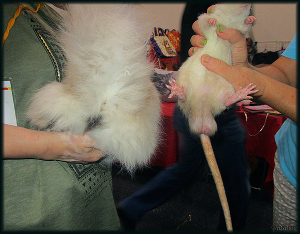 - ��, � ��� ��� "����"? ���, ��� ���� � �����, ������ �������...