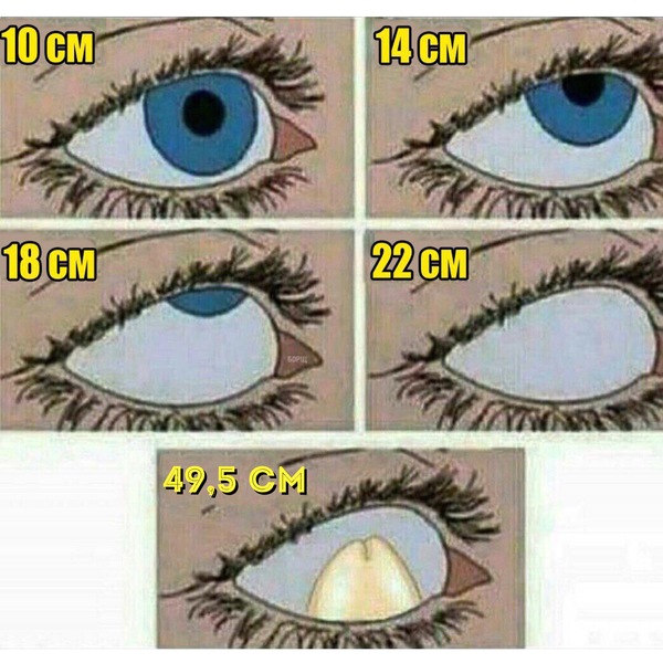 The average size of a pikabush - In contact with, 49 and 5