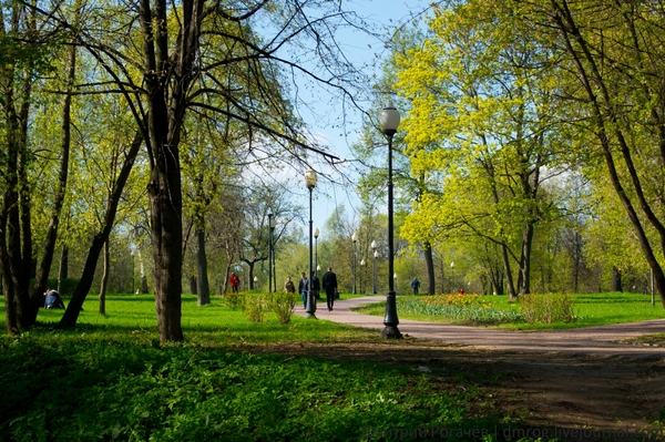 Park improvement 2017 - Moscow, , Beautification, The rout, Mess, Longpost