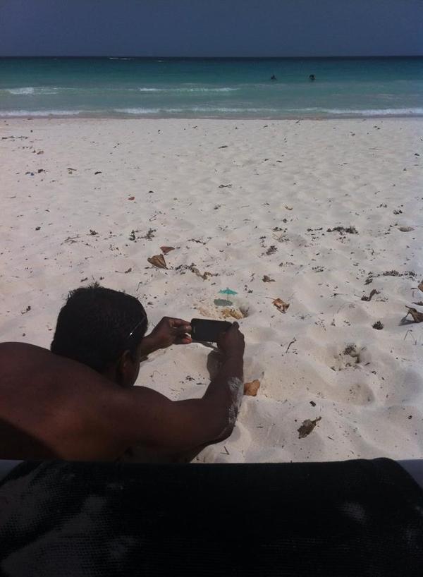 He lay there for 20 minutes waiting for the crab. But it was worth it :) - The photo, Crab, Beach, Milota, Sand