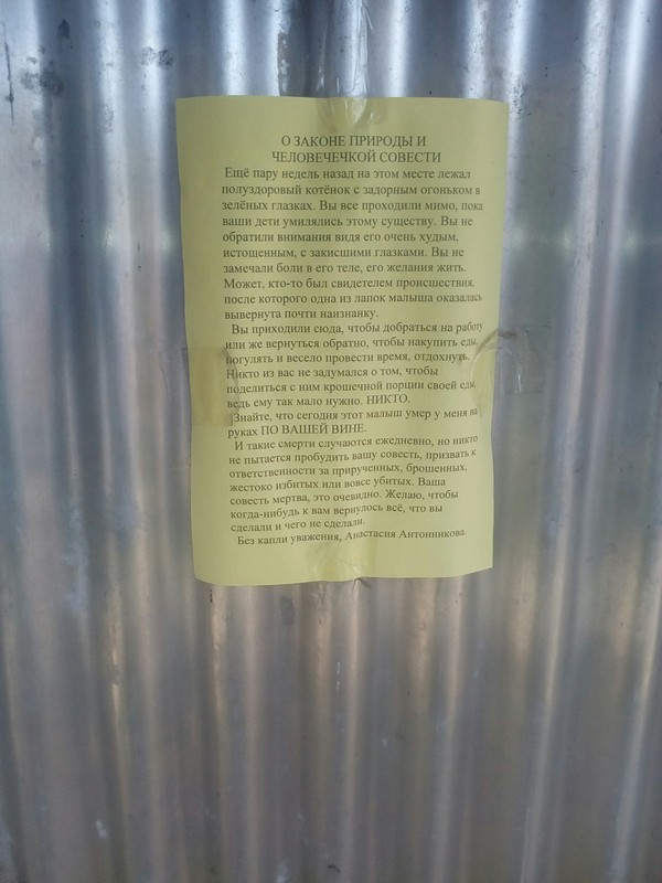 ������� ����