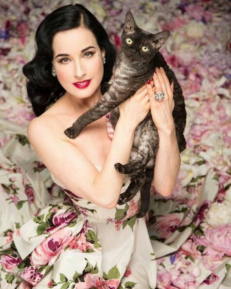 Cats and celebrities - Actors and actresses, cat, Celebrities, Stephen King, Marilyn Manson, Longpost