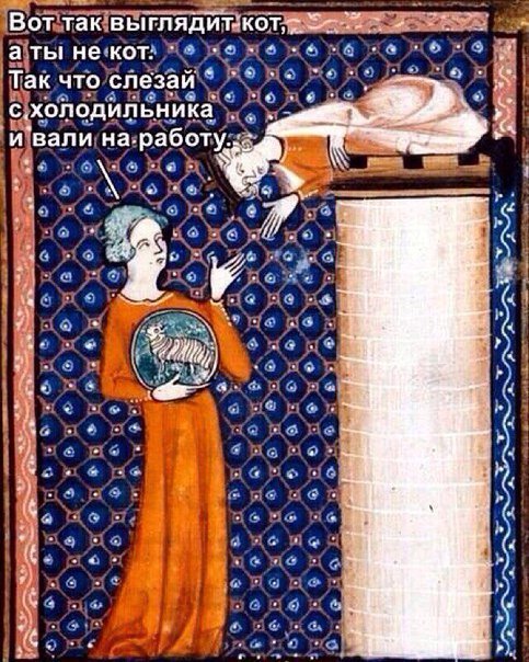 When you want to be a cat - cat, Suffering middle ages