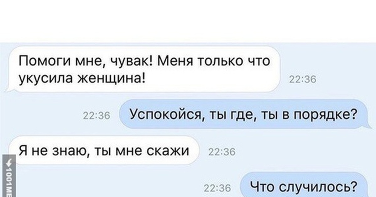 Во сне укусила женщина за руку. Переписка с мужчиной. Меня укусила женщина прикол. Скриншот переписки. Переписка с парнем.