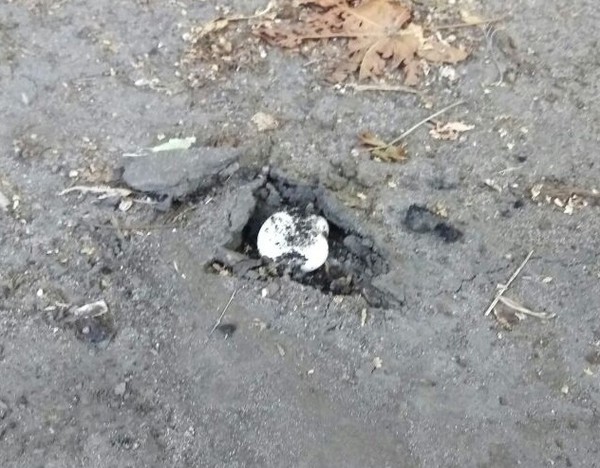 Nothing unusual, the porcini mushroom broke through the asphalt for the sake of survival, but ... (dark humor in the comments) - My, Lyubertsy, Mushrooms, Survival, Black humor