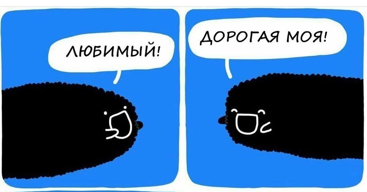 Монобровь | Пикабу