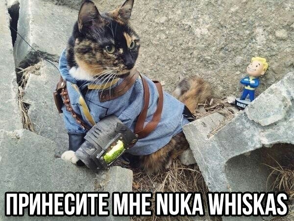 Nuka whiskas - My, cat, Memes, Fallout, Pikabugames, Games