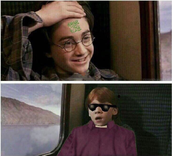 ������ ��������, ���