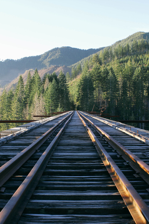 The Vance Creek Bridge - Bridge, Nature, Beautiful view, Lost in Time, Longpost