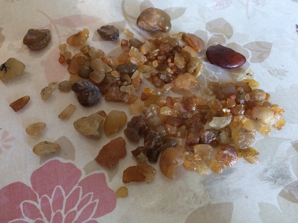 Stones found in the sandbox. - My, A rock, Hobby, Question, Enthusiasm, Geology, Longpost