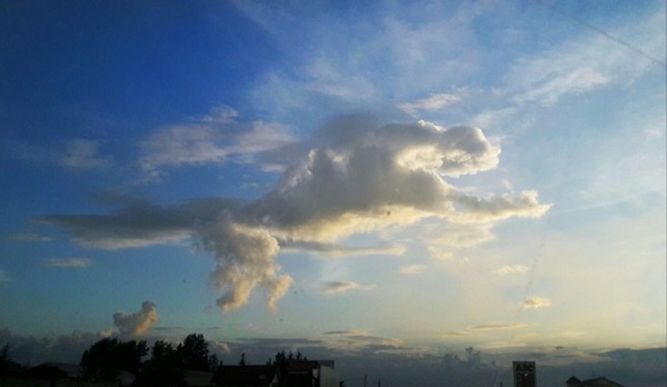 Horse? Dog? DOG? - My, Summer, Clouds, Horses, Sky