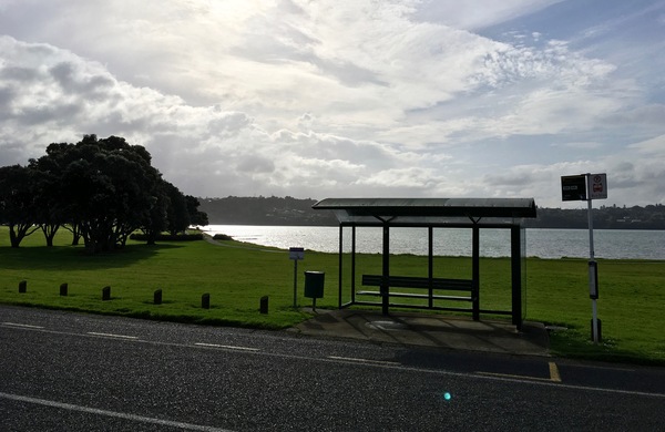 Nothing fancy, just a bus stop. - My, Bus stop, Landscape, New Zealand, 