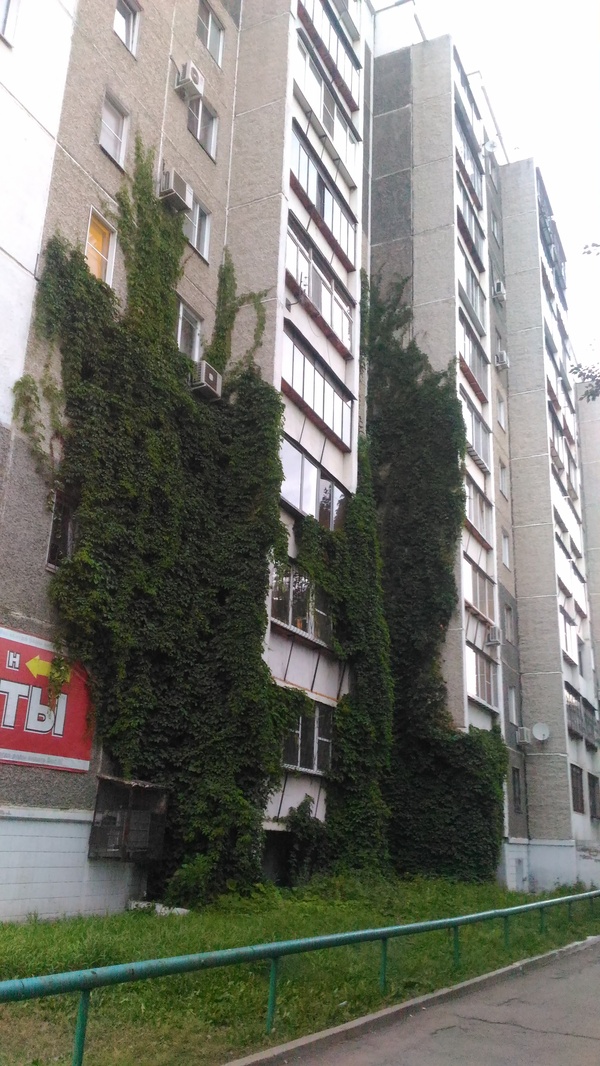 ����������.....