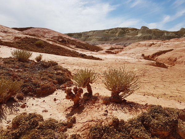 Kiin Kirish - My, My, Kazakhstan, East Kazakhstan, Travels, Longpost