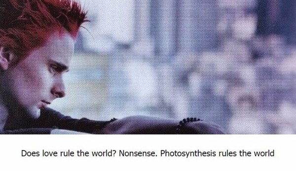 - Love rules the World? Rave. Photosynthesis rules the world. - Muse, , Quotes